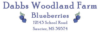Dabbs Woodland Farm - Blueberries